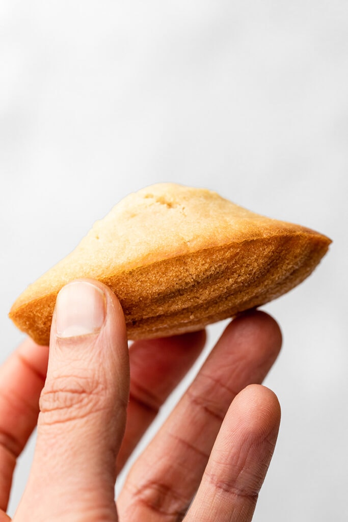 Vegan Madeleines - Early Brawd